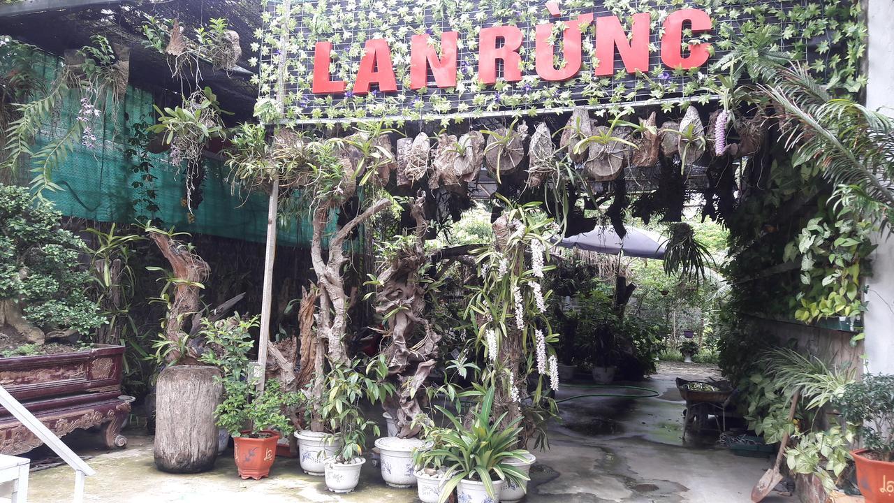 Homestay Lan Rung Nghia Lo Eksteriør billede